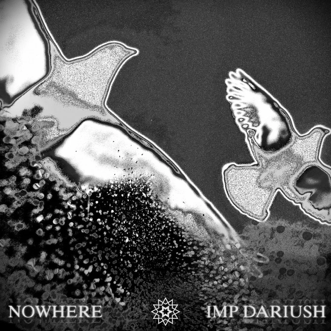 Nowhere cover art with two birds